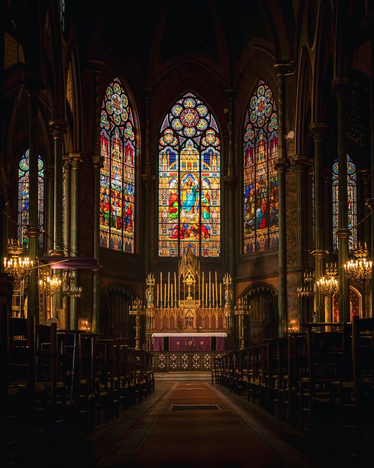 The Conservative Alternative tweet media