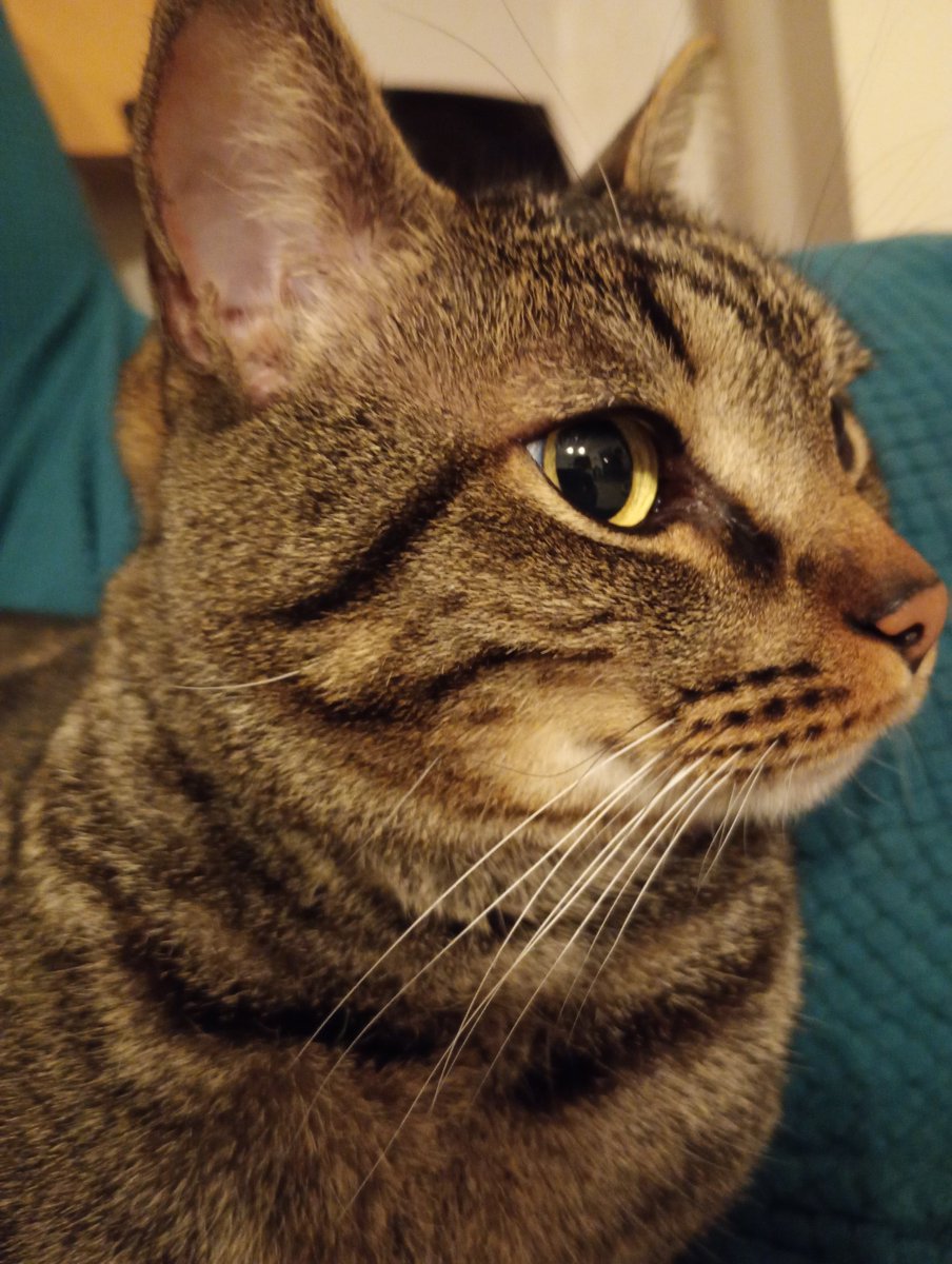 Voglio rubare la tua bellezza 
#Colin