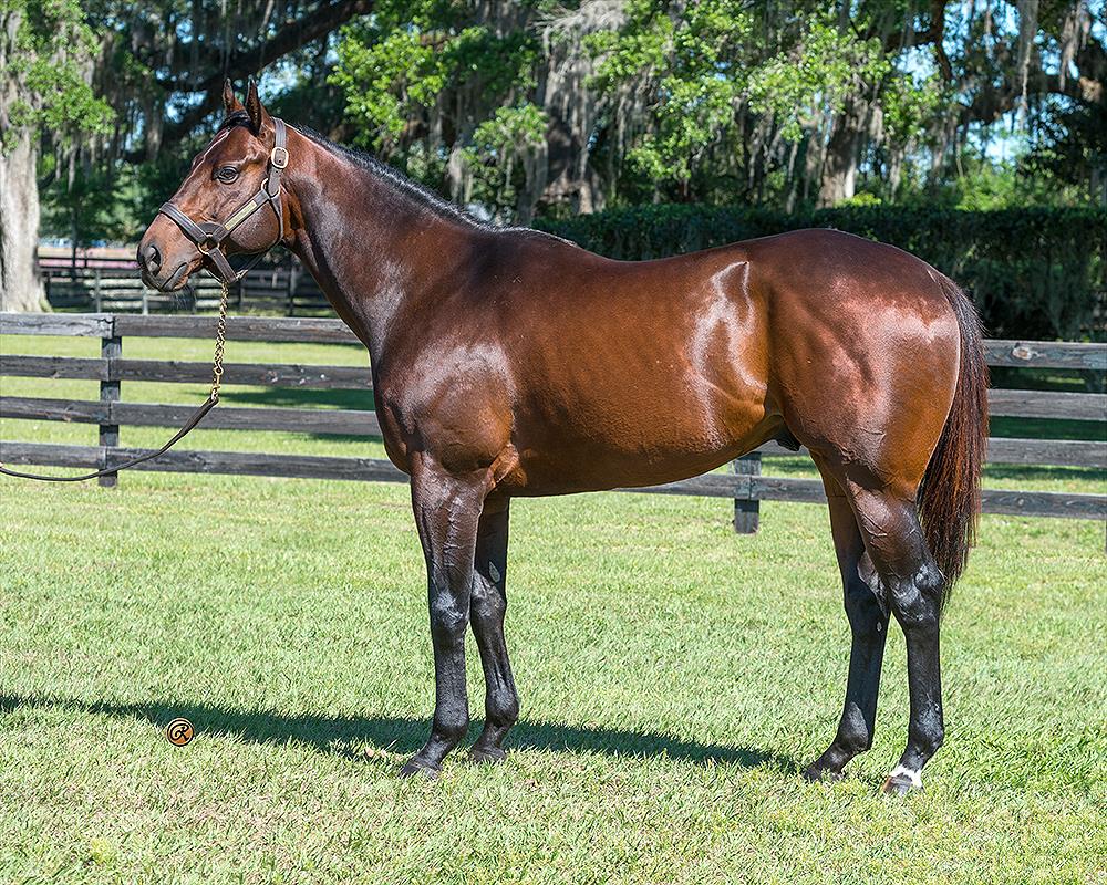 Hipismo.Net tweet media