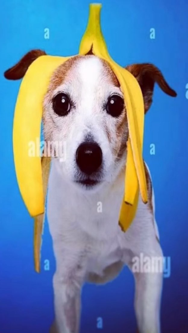 kiibs ☔️ tweet media