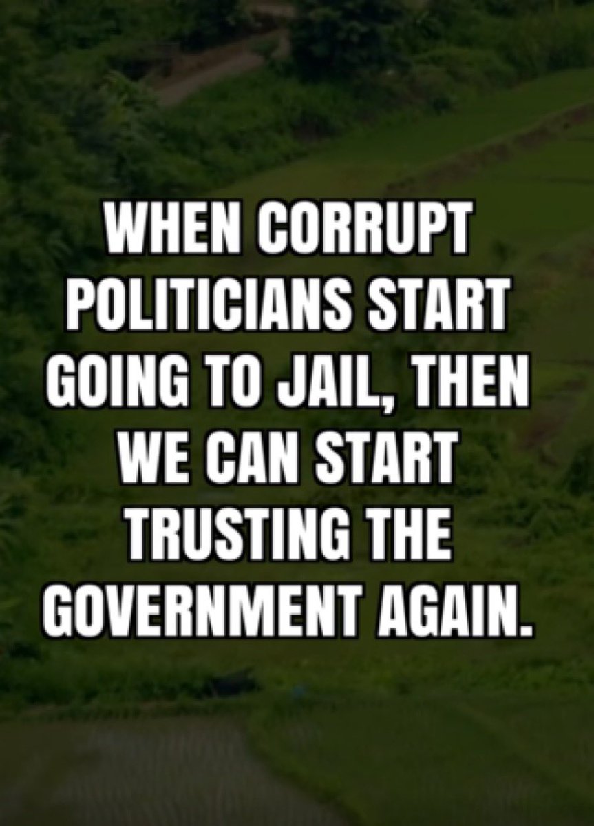 AvaArmstrong,🇺🇸 Author tweet media