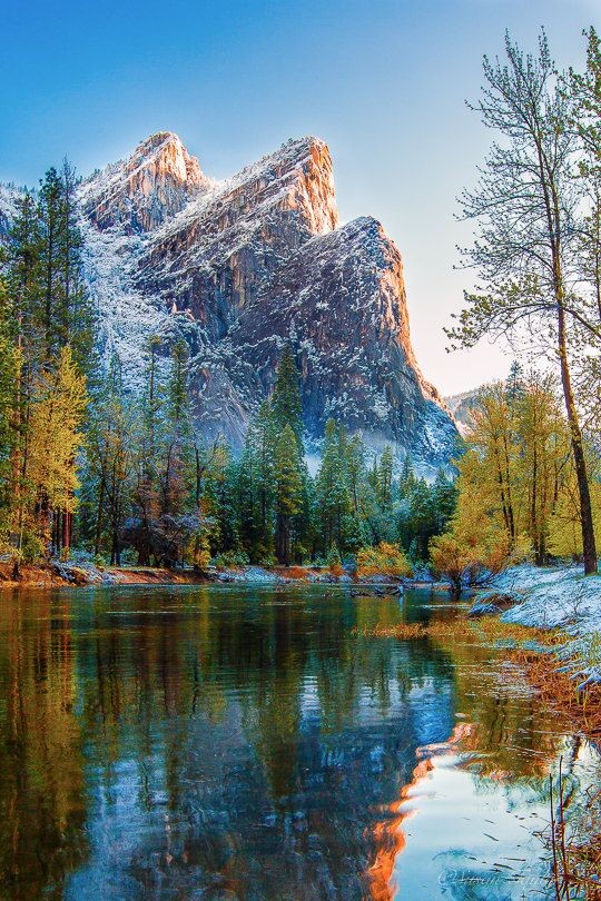 Earth Pictures tweet media