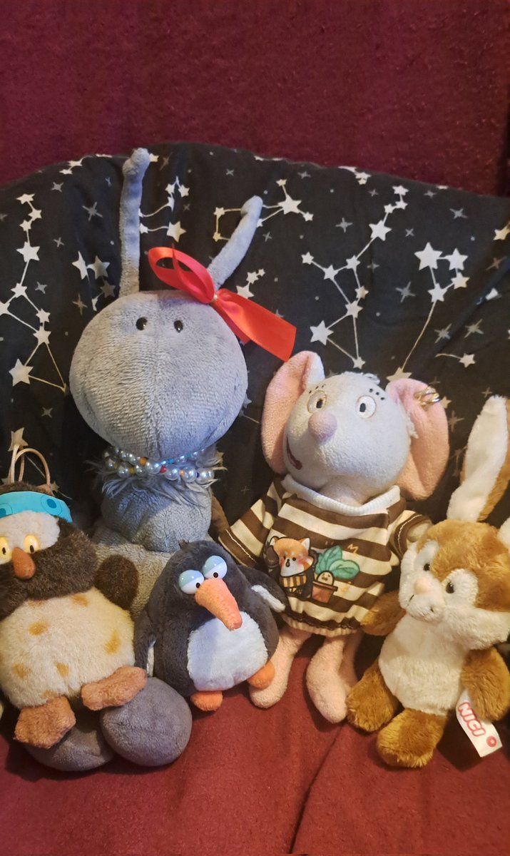 Die Reisegruppe ist bereit....🐭🐜🐧🐰🙋🏻‍♀️