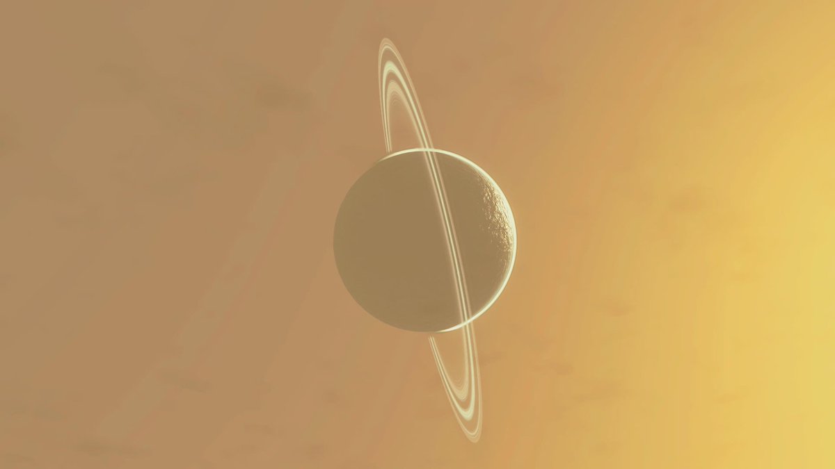 Appolonius tweet media