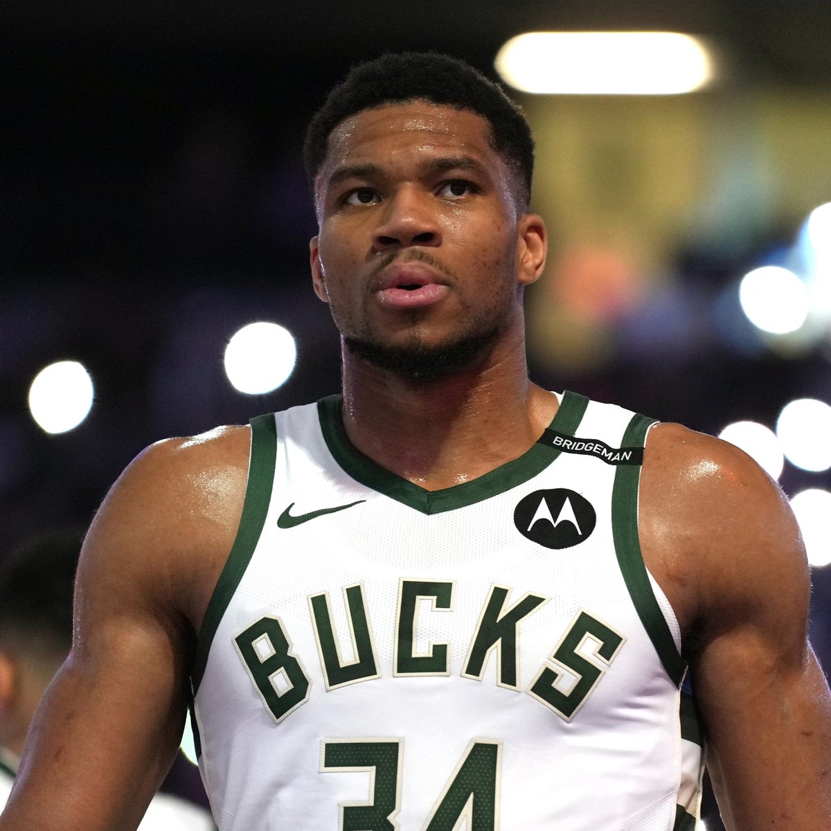 ๐ฝ๐ช๐๐ ๐จ ๐๐ฅ๐๐ง๐๐ฉ ๐๐ง๐๐ฃ๐๐ ๐ฆ๐ซ๐ท tweet media