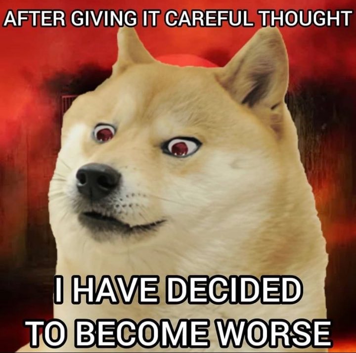 Talophex tweet media