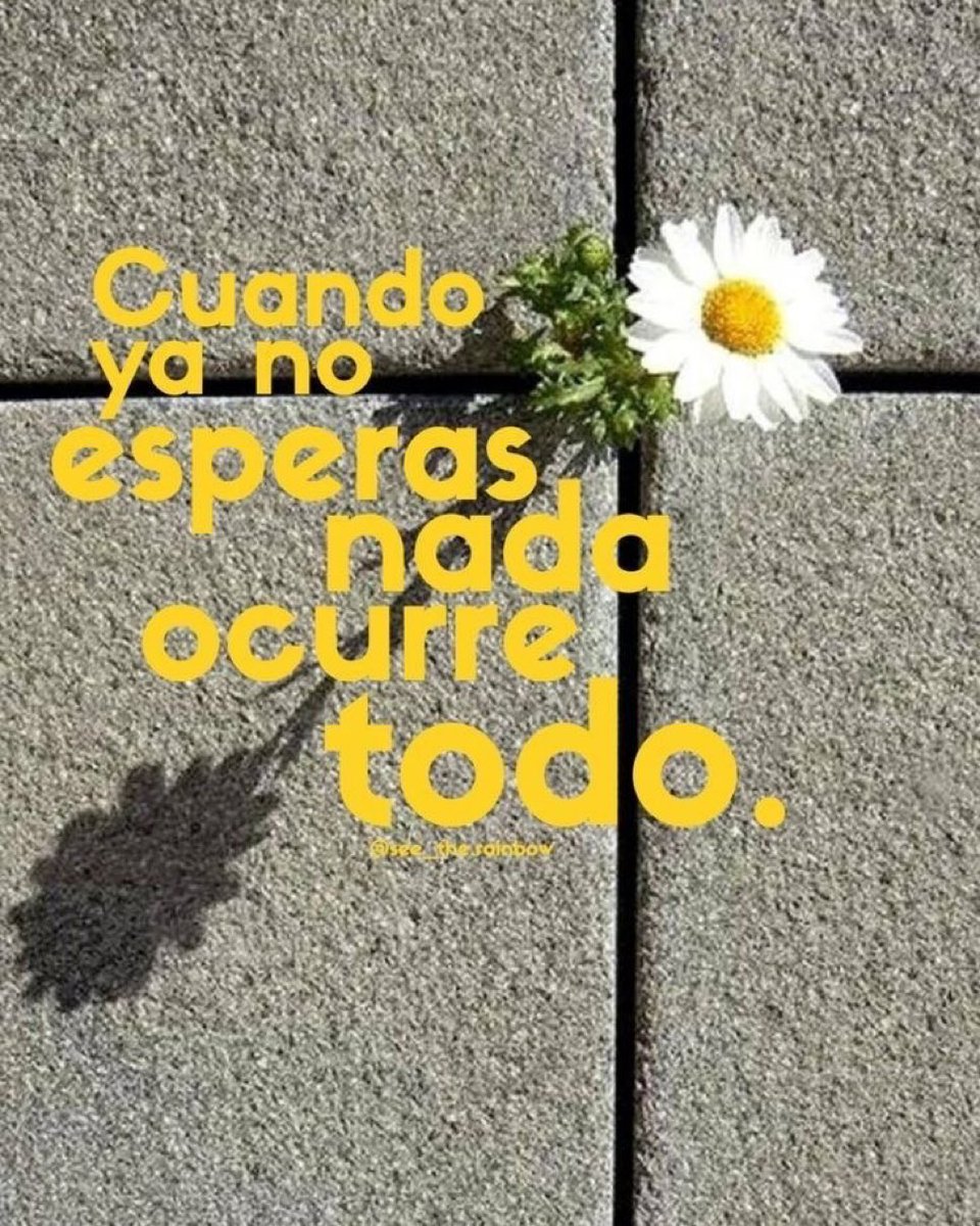 🌙 mini textos (@soyminitextos) on Twitter photo 