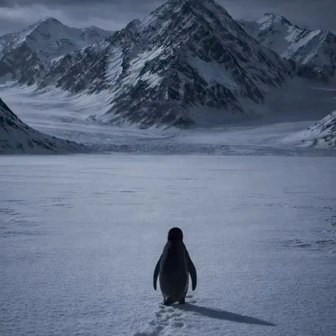 oltsufishh tweet media