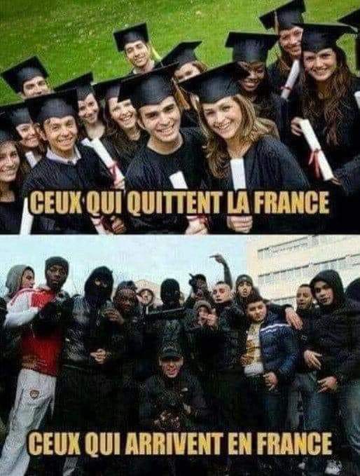 🇨🇵Nathalie Delalande🌿 tweet media