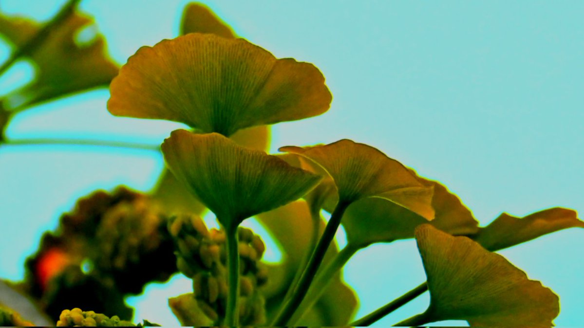 Delphine Besse tweet media