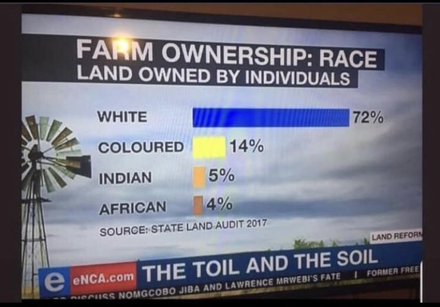 Shenge The Zulu Eagle 🦅™️ 🇿🇦 tweet media