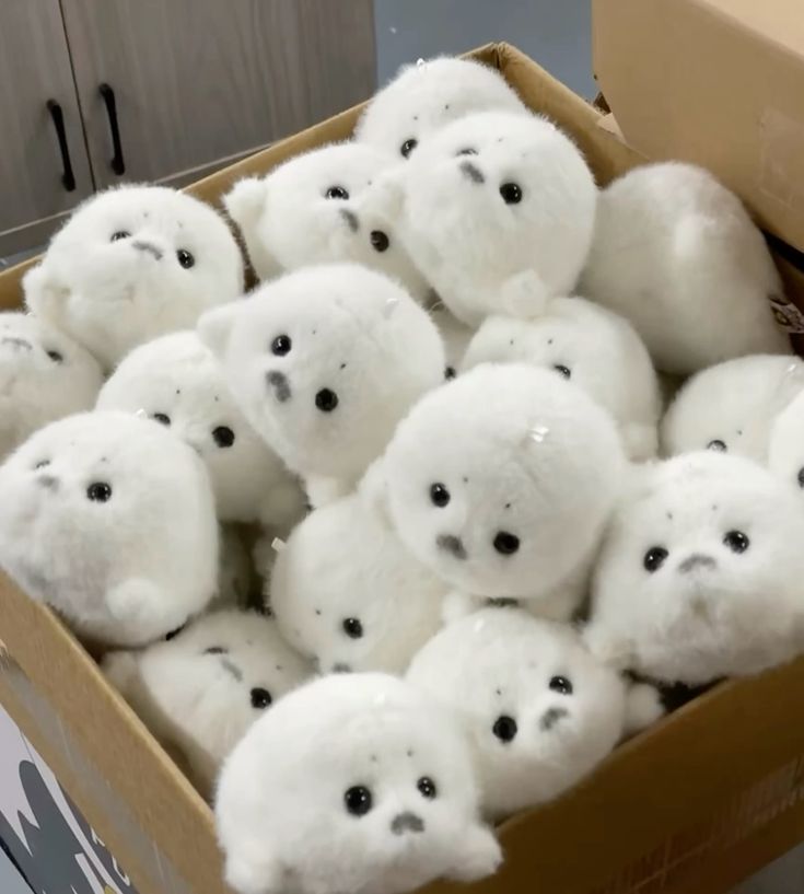 only cute things tweet media