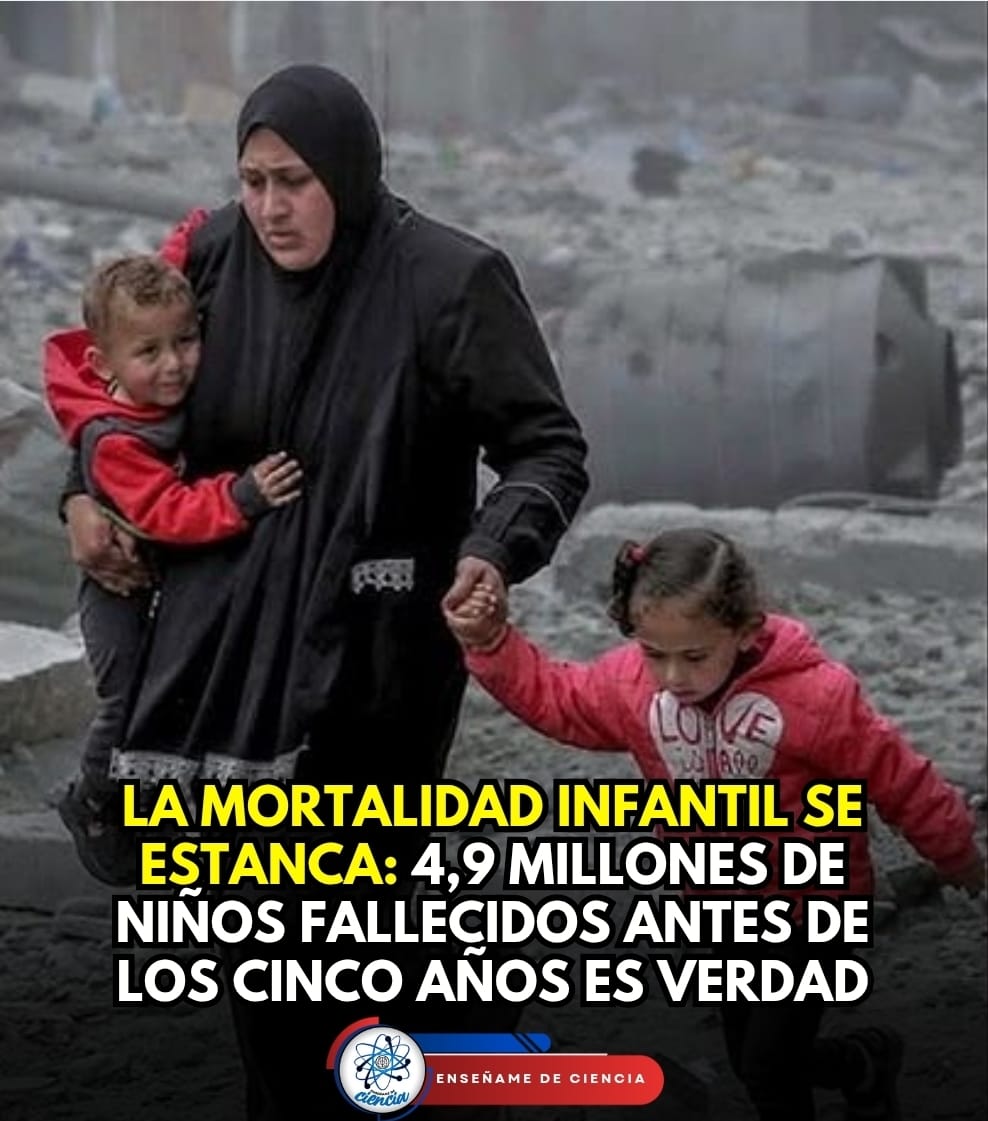 EnsedeCiencia's tweet photo. 🚨La mortalidad infantil a nivel mundial muestra señales de estancamiento: cerca de 4,9 millones de niños murieron antes de cumplir cinco años en el último año, según datos de UNICEF y la ONU.

Aunque en las últimas décadas se lograron avances importantes, el ritmo de reducción se ha frenado, generando preocupación entre organismos internacionales. La mayoría de estas muertes siguen siendo prevenibles y se concentran en regiones con menor acceso a servicios de salud, lo que pone en evidencia una creciente desigualdad global.