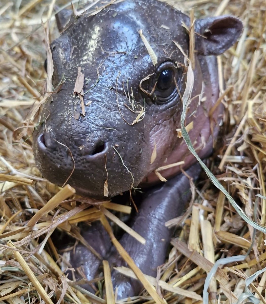 StanCrypt0 tweet media