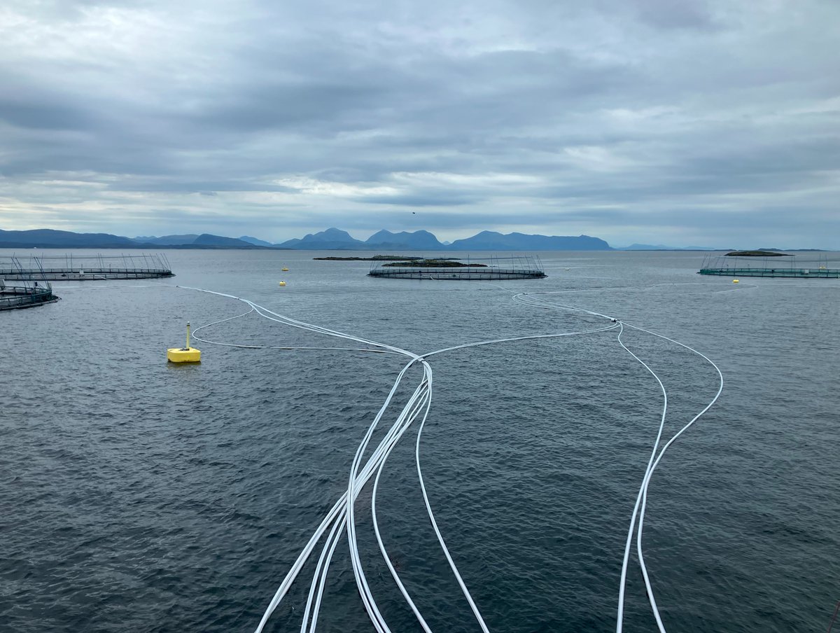 MIT Sea Grant tweet media