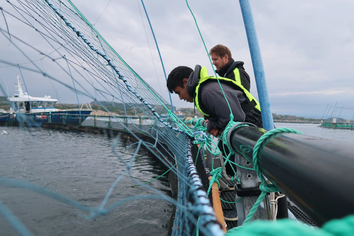 MIT Sea Grant tweet media