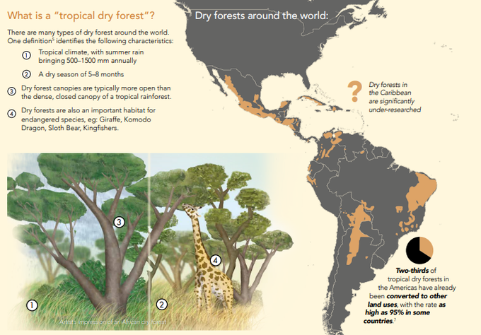 CIFOR-ICRAF tweet media