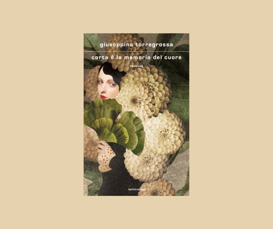 LuciaLibri tweet media