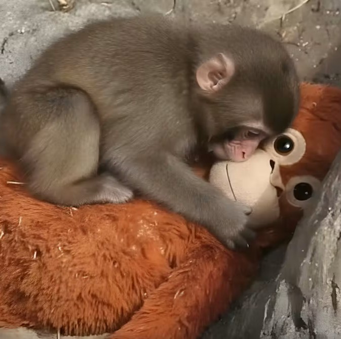 Vortex Podcast tweet media