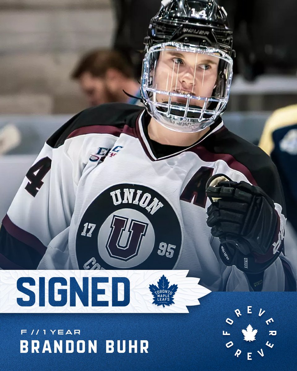 Toronto Maple Leafs tweet media