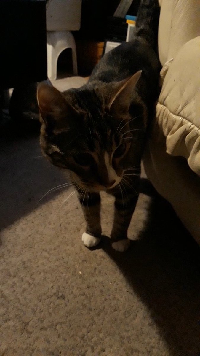 Musiklauw76🚜🎶🔊 tweet media