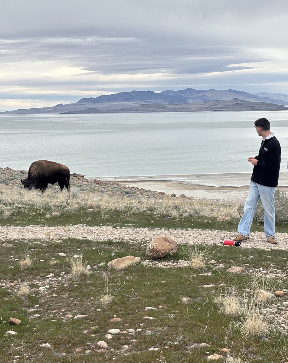 Grǣġhama tweet media