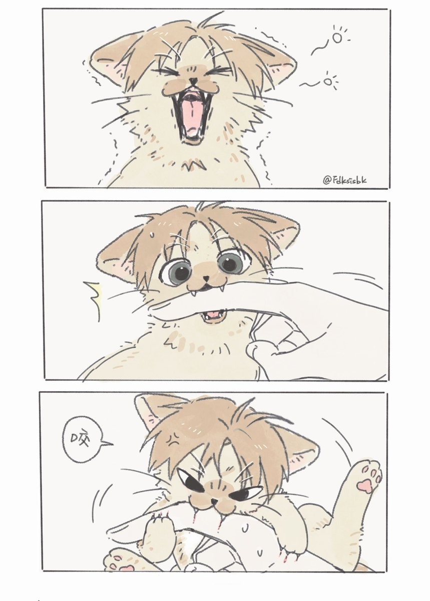 不是歐巴是鹽巴 tweet media