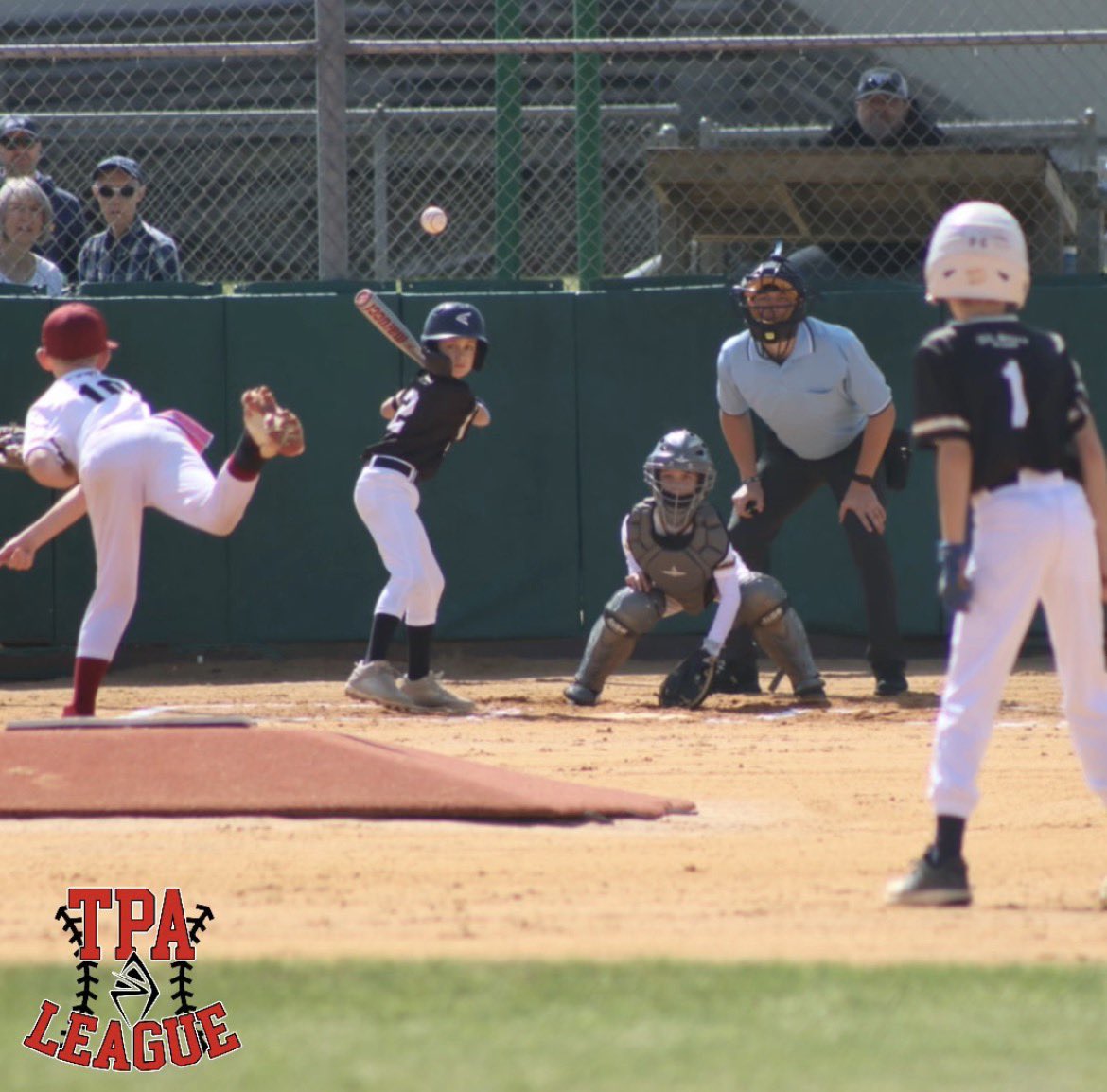 The Performance Academy tweet media