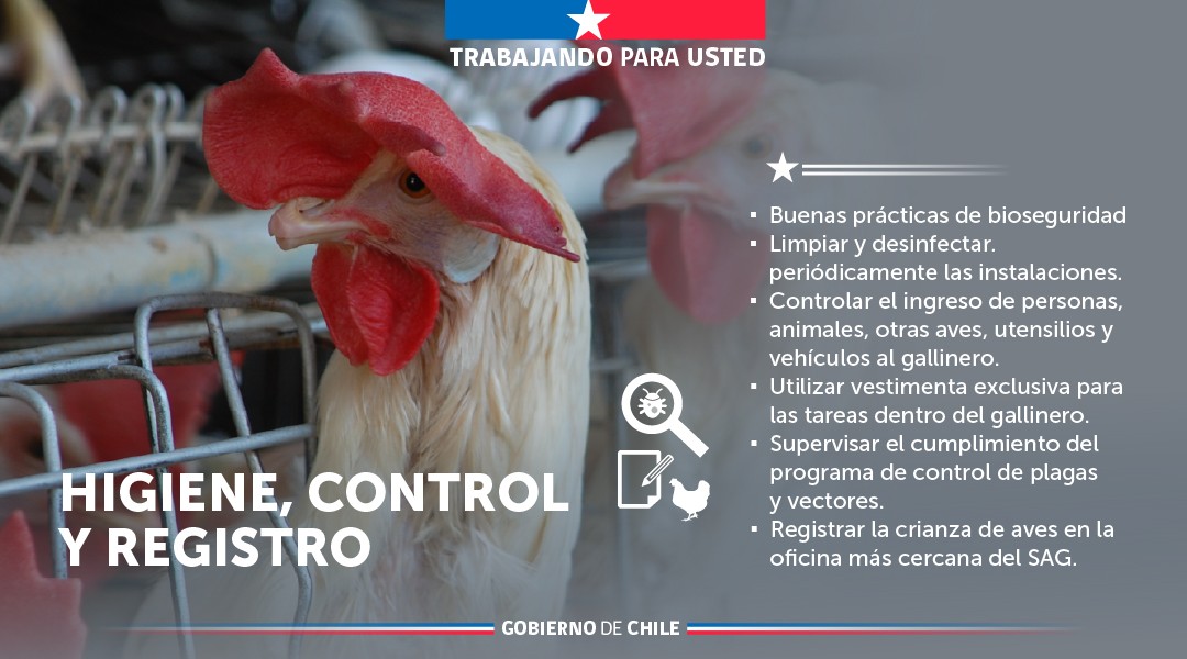 Portal Agroclimático tweet media