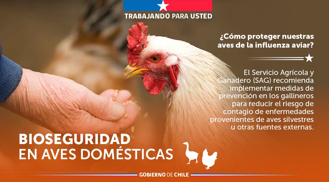 Portal Agroclimático tweet media