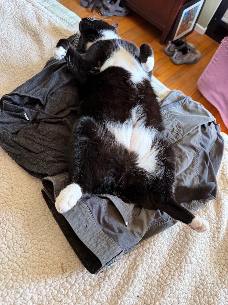 Shannon Minter tweet media