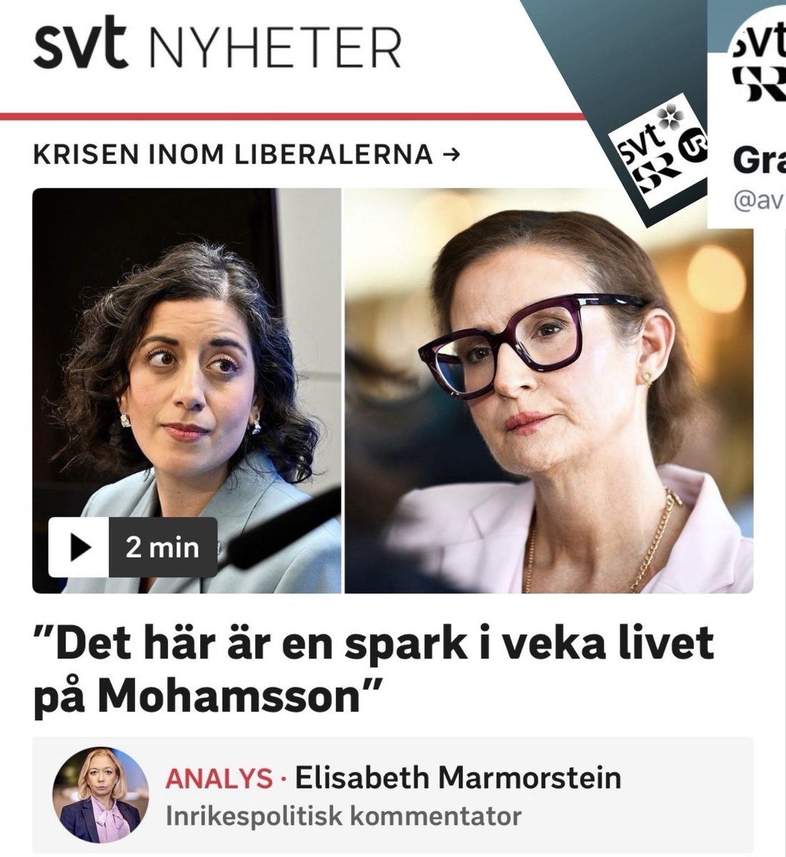 Granskning tweet media