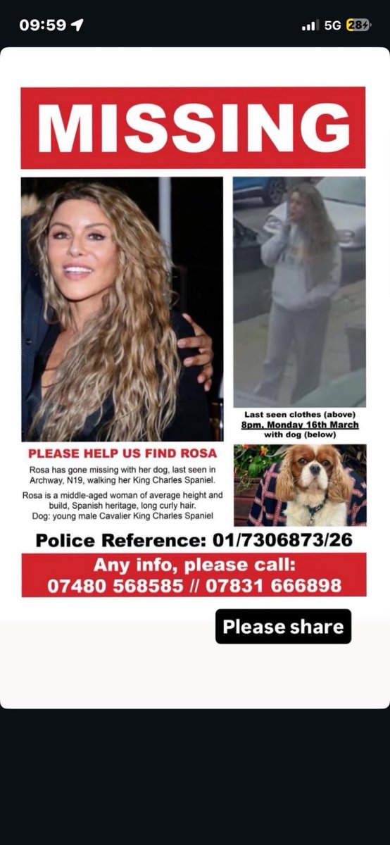 Brendan May tweet media