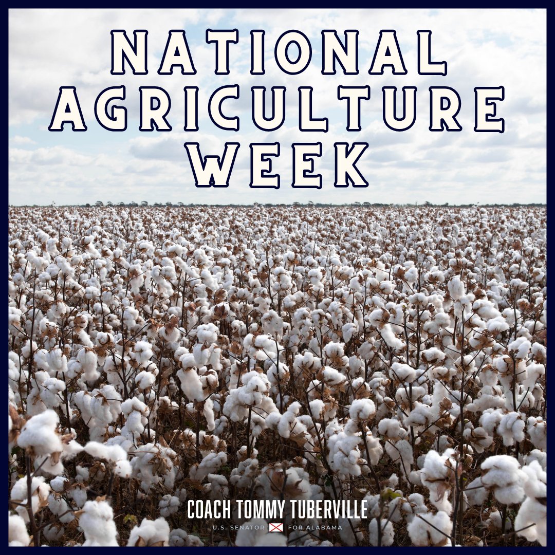 Coach Tommy Tuberville tweet media