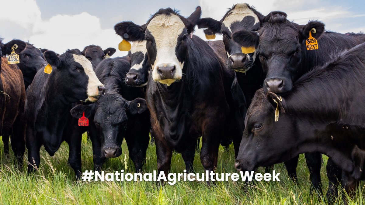 CSU AgNext tweet media