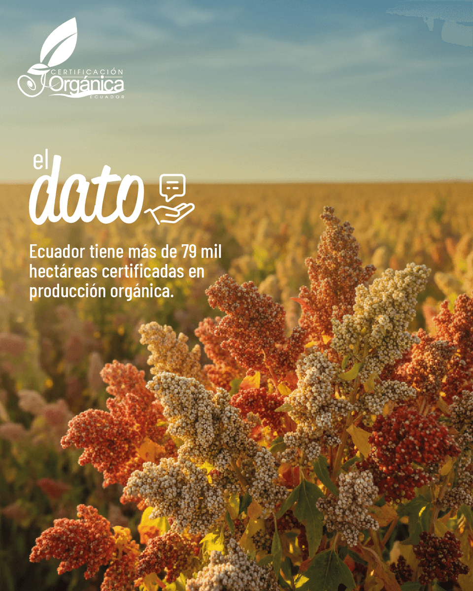 Agrocalidad tweet media