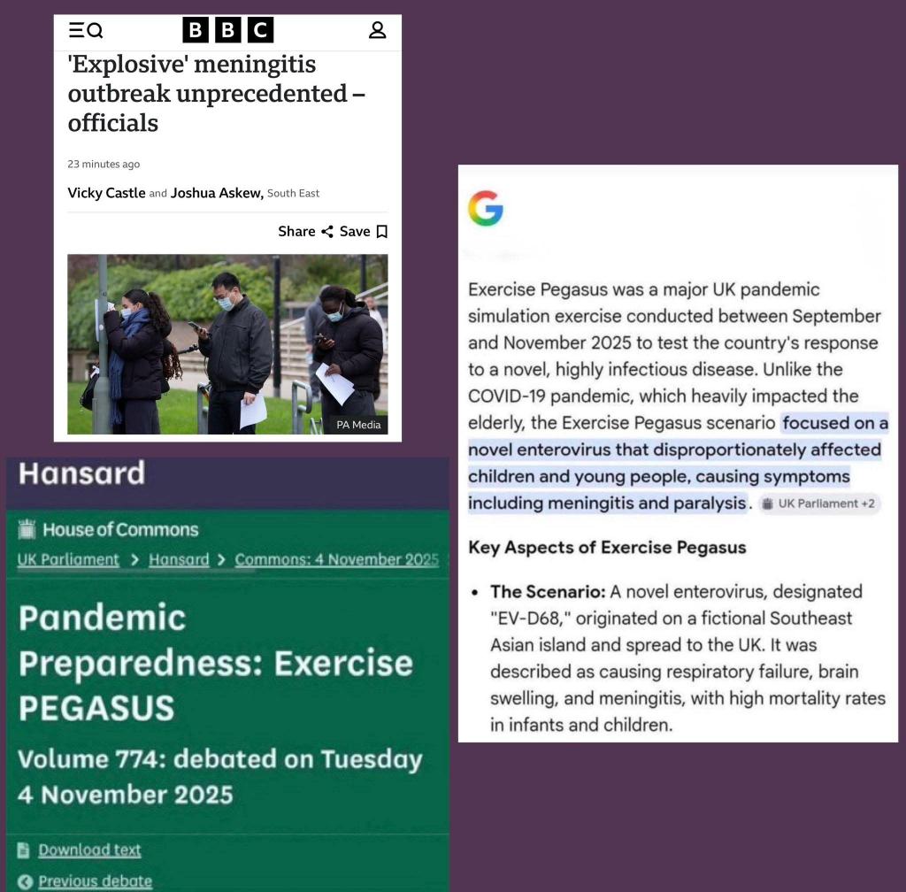 liz coombes tweet media