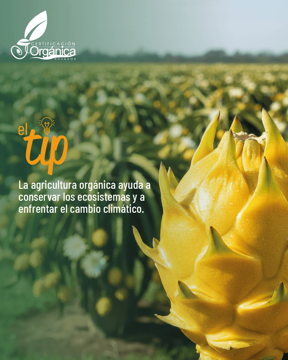 Agrocalidad tweet media