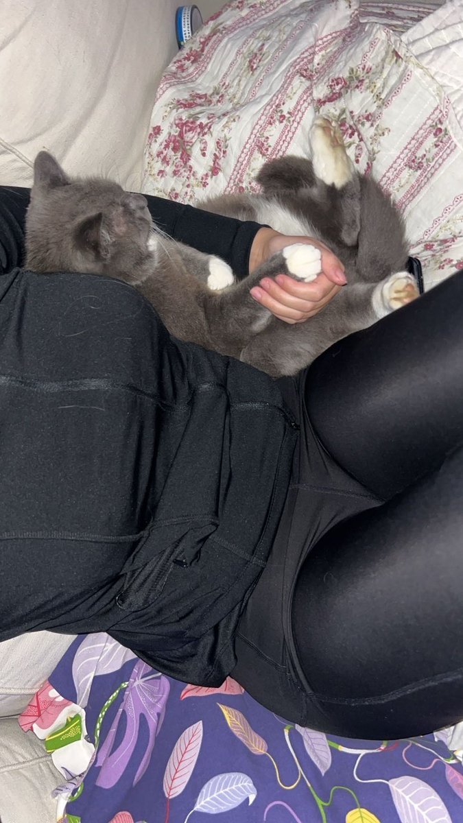 nicole larsson tweet media