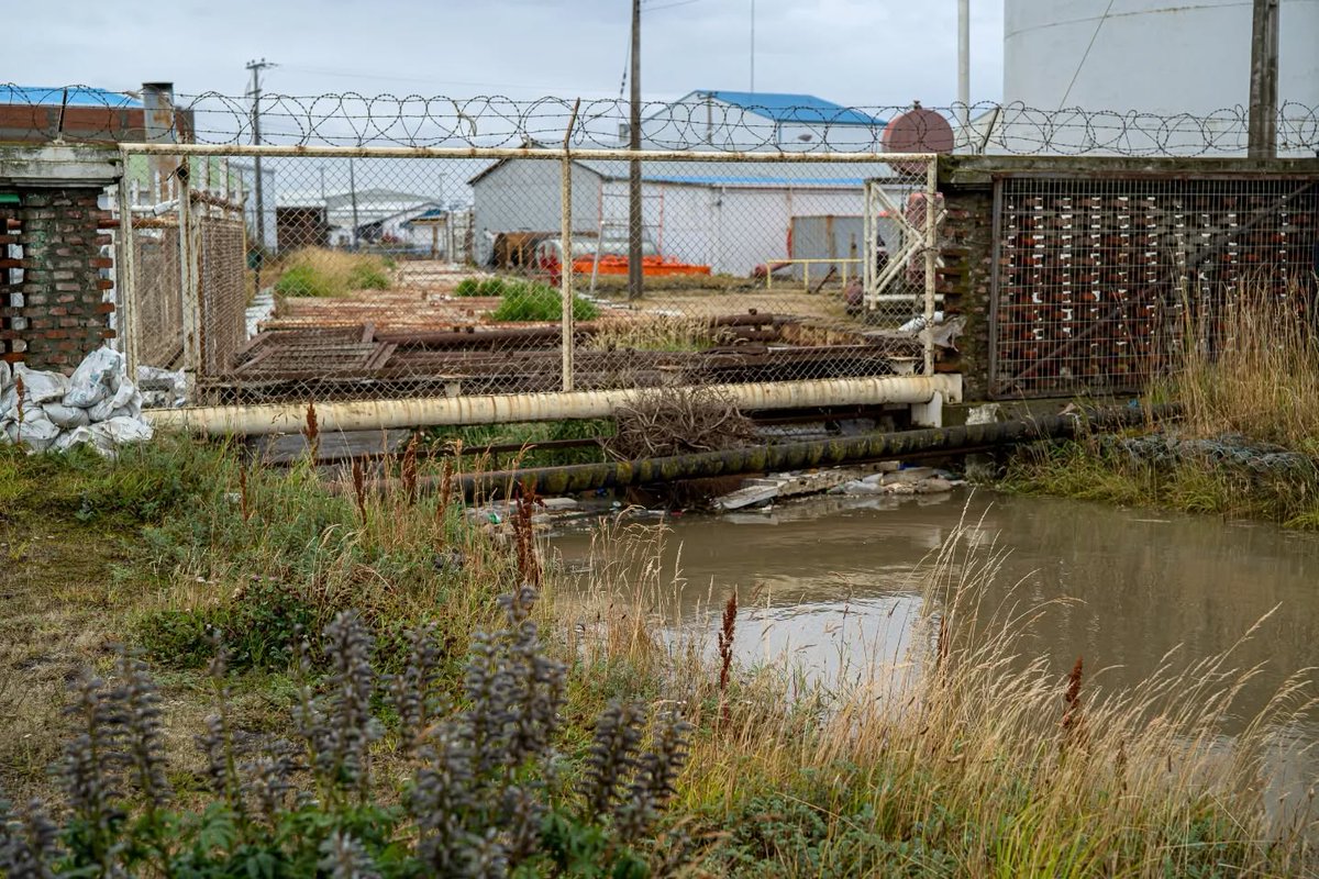 Delegación Presidencial Regional de Magallanes tweet media