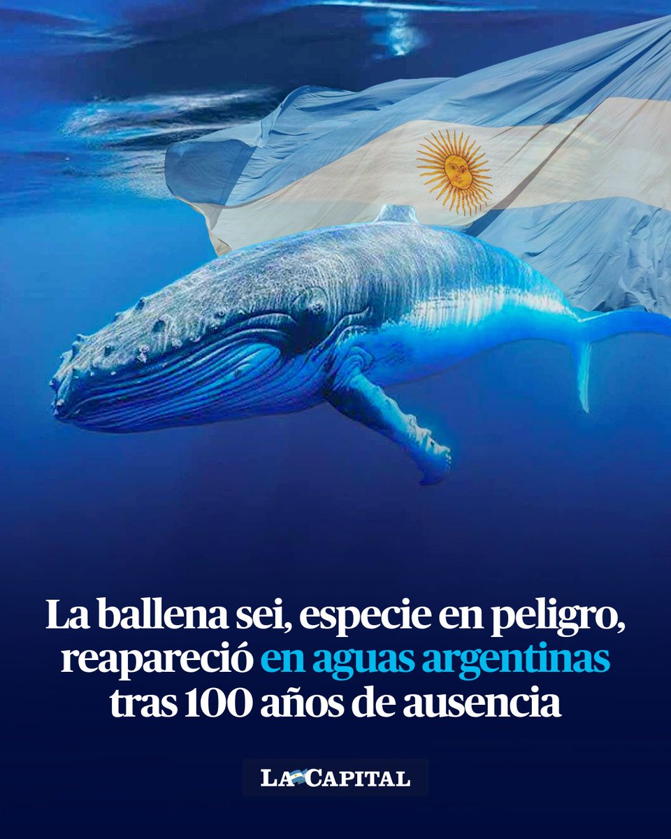 Diario La Capital tweet media