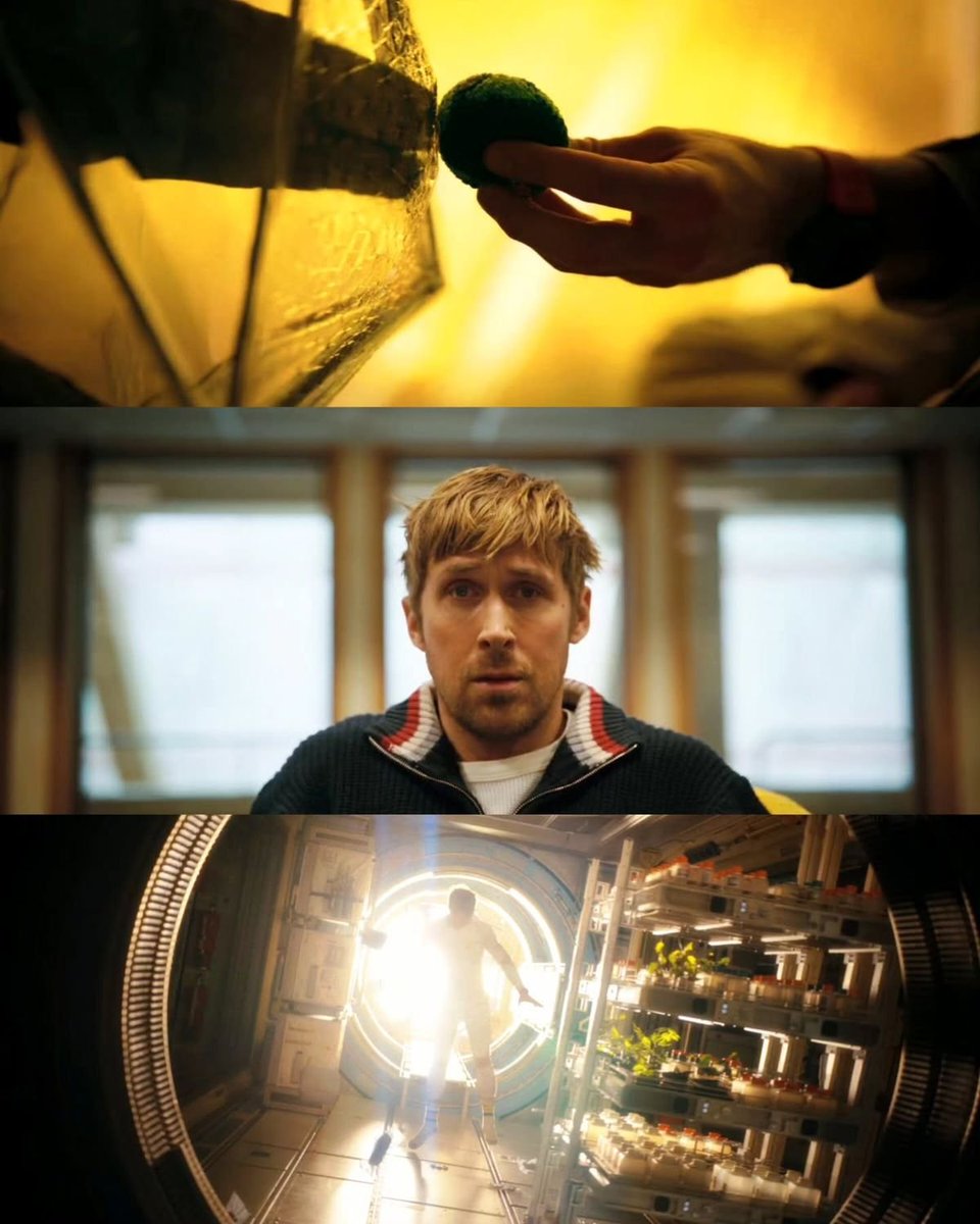 Project Hail Henry. 🚀 tweet media