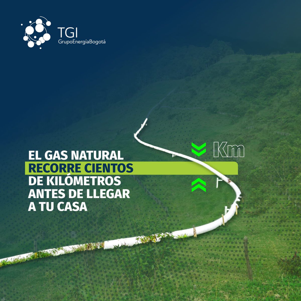 Transportadora de Gas Internacional tweet media