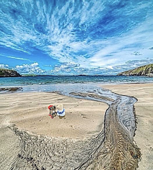 The WW1 Pocket Bears©️ tweet media