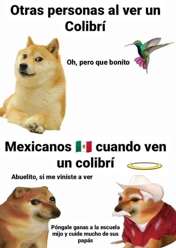 Rincón Curioso tweet media