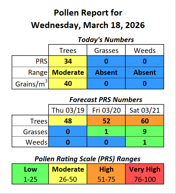 Forsyth County, NC Pollen tweet media