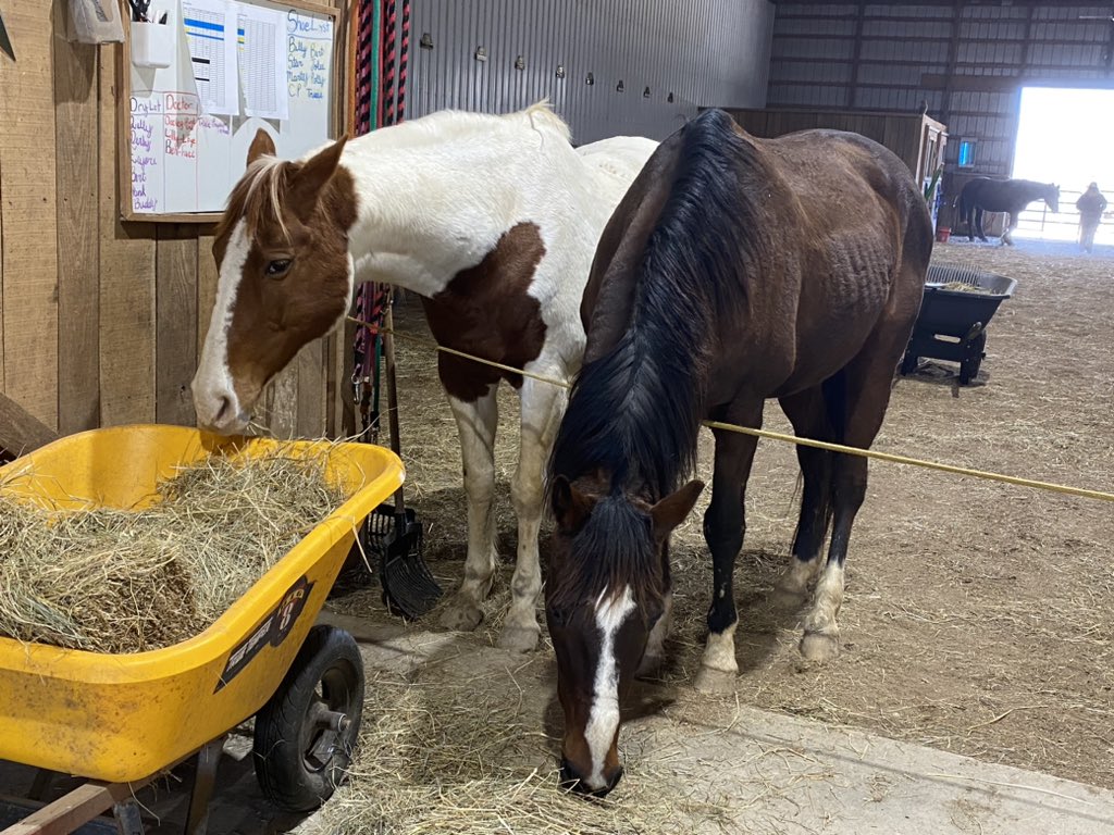 Daily Forever Young🕶️ tweet media