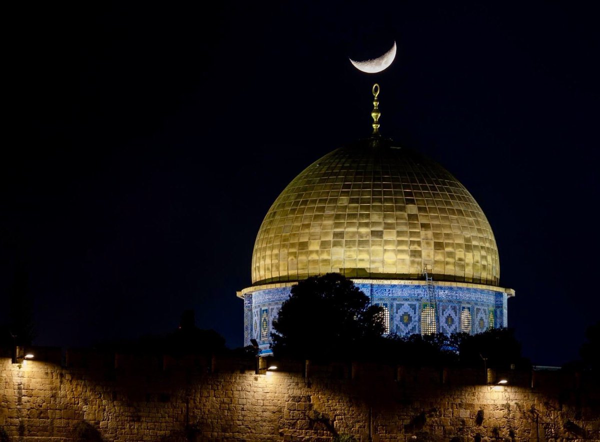 erkanhalatoglu's tweet photo. İlk kıblemiz için susmak değil, ses olmak bugün hepimizin boynunun borcudur.

#AksayaSahipÇık #OpenAqsa https://t.co/FRbUe3brPV