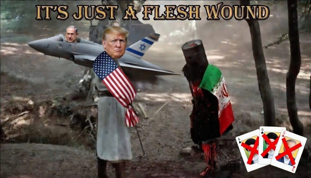 MakeUSbornagain's tweet photo. IT'S JUST A FLESH WOUND @HilzFuld https://t.co/U99QmV2a0e