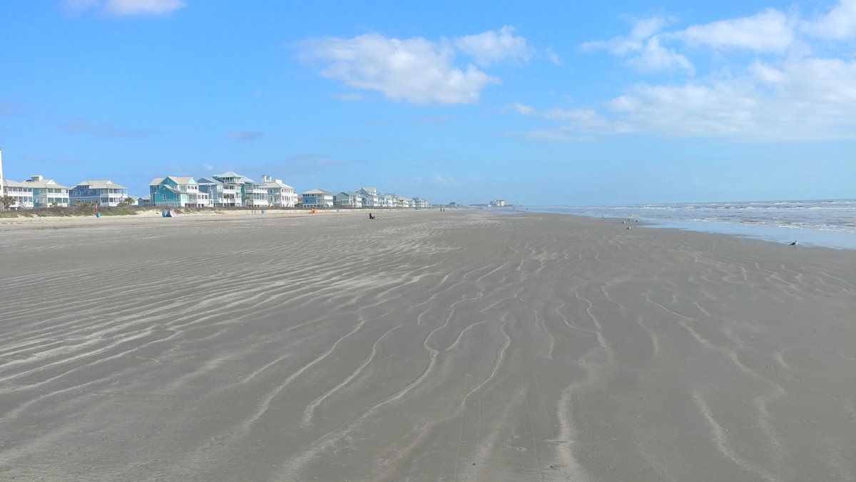 Loralee Logan 🌻🌻🌻 tweet media